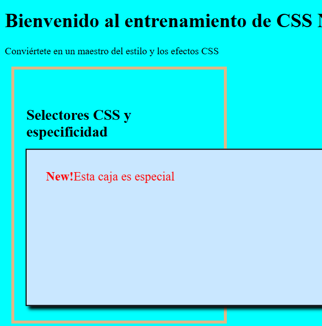 Ninja CSS